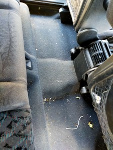 Photo de galerie - Lavage auto