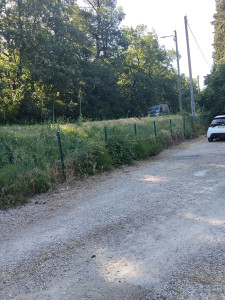 Photo de galerie - Tonte de pelouse - Débroussaillage