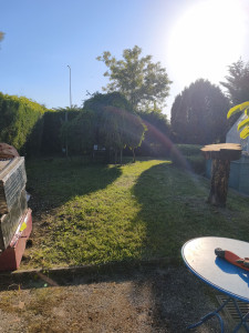 Photo de galerie - Paysagiste - Aménagement du jardin