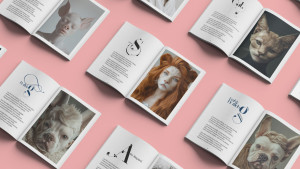 Photo de galerie - Mise en page et création de visuel pour un livre.