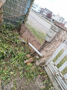 Photo de galerie - Tonte de pelouse - Débroussaillage