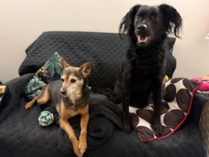 Photo de galerie - Visite à domicile 