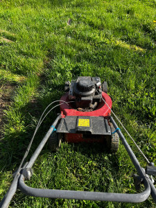 Photo de galerie - Tonte de pelouse - Débroussaillage