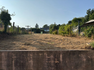 Photo de galerie - Travail réalisé: Débroussaillage/ abattage d’un arbre 