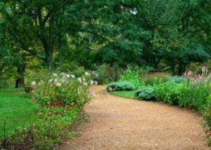 Photo de galerie - Création chemin privé
