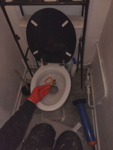 Photo de galerie - Toilettage