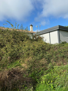 Photo de galerie - Gros débroussaillage je voyais même plus la maison 

