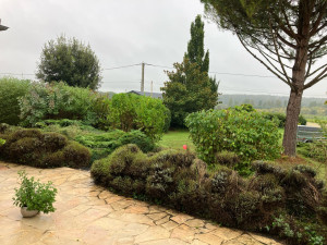 Photo de galerie - Entretien jardin 