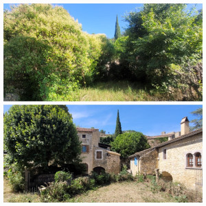 Photo de galerie - Elagage et coupe d'arbres