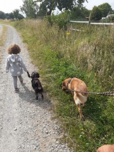 Photo de galerie - Garde chien