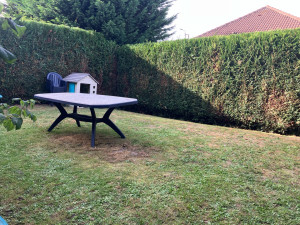 Photo de galerie - Taille + tonte 