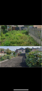 Photo de galerie - Paysagiste - Aménagement du jardin