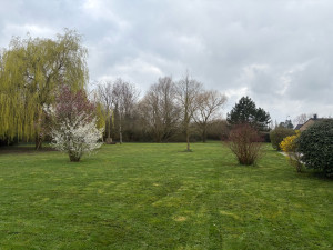 Photo de galerie - Tonte de 2500m2 réalisé 