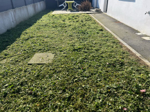 Photo de galerie - Tonte de pelouse - Débroussaillage