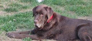 Photo de galerie - .