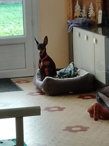 Photo de galerie - Thea 3 ans 