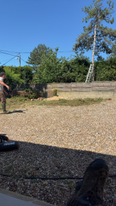 Photo de galerie - Abattage 