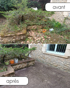 Photo de galerie - Tonte de pelouse - Débroussaillage