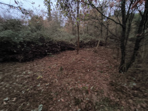 Photo de galerie - Jardinier