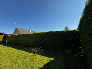 Photo de galerie - Après 