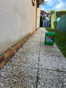 Photo de galerie - Traitement anti mousse ✅