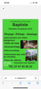 Photo de galerie - Elagage et coupe d'arbres