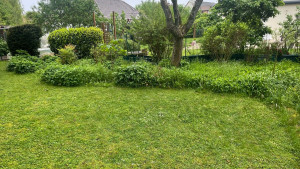 Photo de galerie - Tonte pelouse