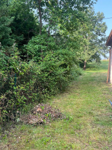 Photo de galerie - Avant prestation