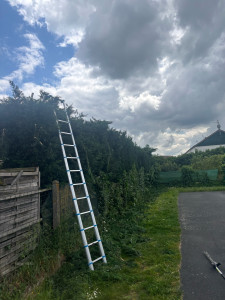 Photo de galerie - Taille de haies et d'arbustes