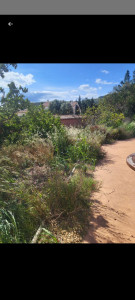 Photo de galerie - Tonte de pelouse - Débroussaillage