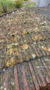 Photo de galerie - Traitement de toiture avan 