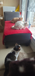 Photo de galerie - Le bonheur et le calme ?