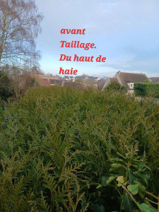 Photo de galerie - Avant 