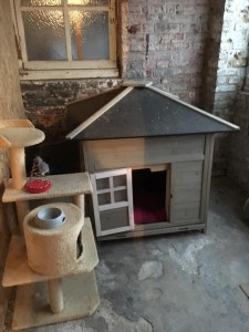 Photo de galerie - abri vue de l'intérieur dans le garage avec accès par chatière