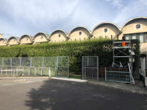 Photo de galerie - Taille de haies et d'arbustes