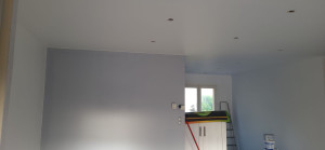 Photo de galerie - Peinture plafond blanc velours, mur blanc satin et mur en gris 