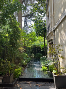 Photo de galerie - Aménagement végétal d’un jardin dans le 16eme Paris