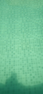 Photo de galerie - Ma piscine était pleine d'algues, photo après premier traitement (4 jours)