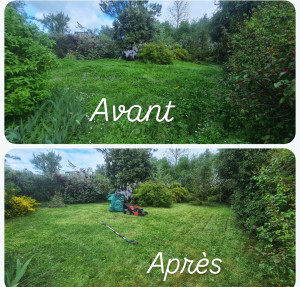 Photo de galerie - Avant après remise en état 