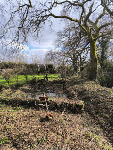 Photo de galerie - Tonte de pelouse - Débroussaillage