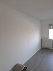 Photo de galerie - Peinture de toit la salle 