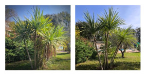 Photo de galerie - Jardinier