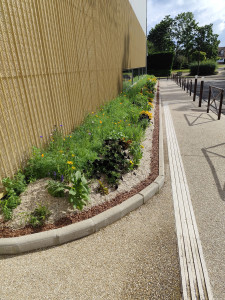 Photo de galerie - Décoration d' un long massif 








