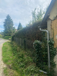 Photo de galerie - Taille d’une haie 