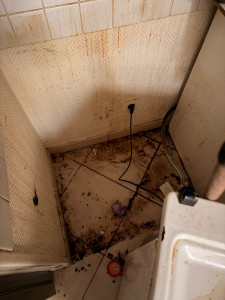 Photo de galerie - Avant le nettoyage 