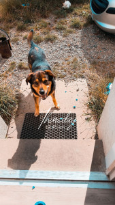 Photo de galerie - Waly ❤️