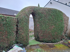 Photo de galerie - Tailles de haies 