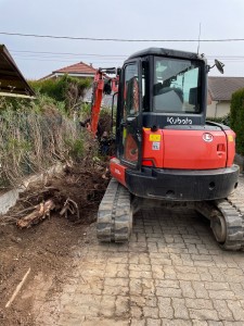 Photo de galerie - Elagage et coupe d'arbres