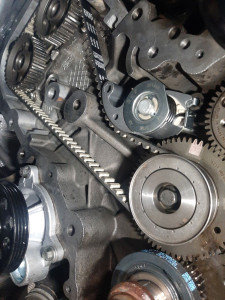 Photo de galerie - Courroie de distribution 
