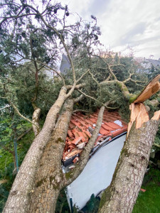 Photo de galerie - Suppression d’un sujet dangereux suite aux tempêtes